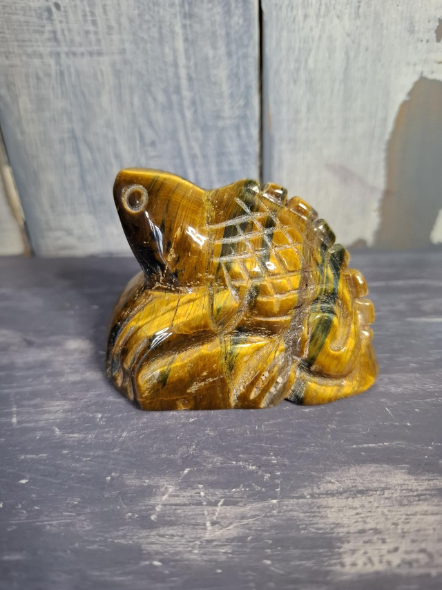 Gold Tiger's Eye Lizard