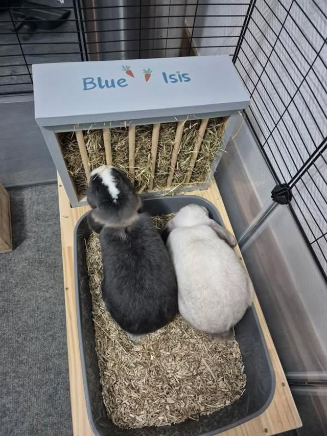 Lapi'Box Medium sans gamelles / Longueur