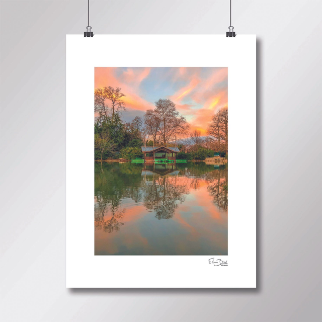 Affiche « Sunrise à Borély »