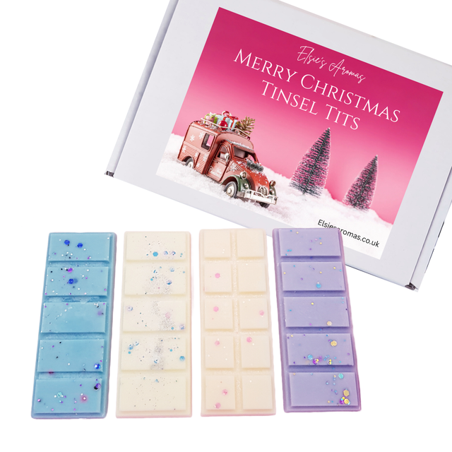 MERRY CHRISTMAS GIFT BOX MERRY CHRISTMAS TINSEL T*TS 