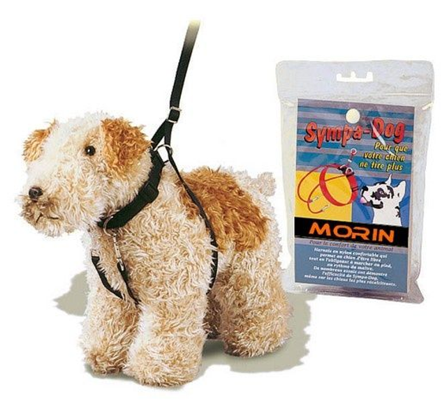 Collier harnais anti-traction