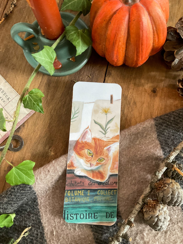 Le chat de la sorcière - marque-page