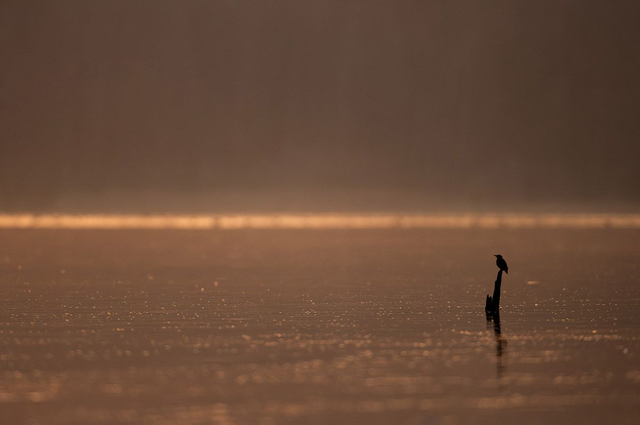 Solitude hivernale II