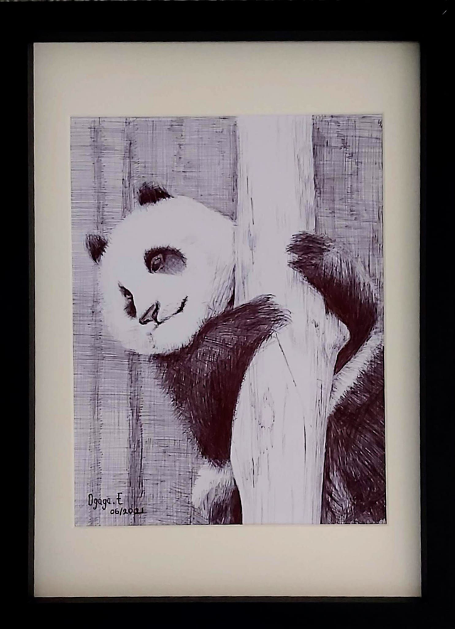 Panda