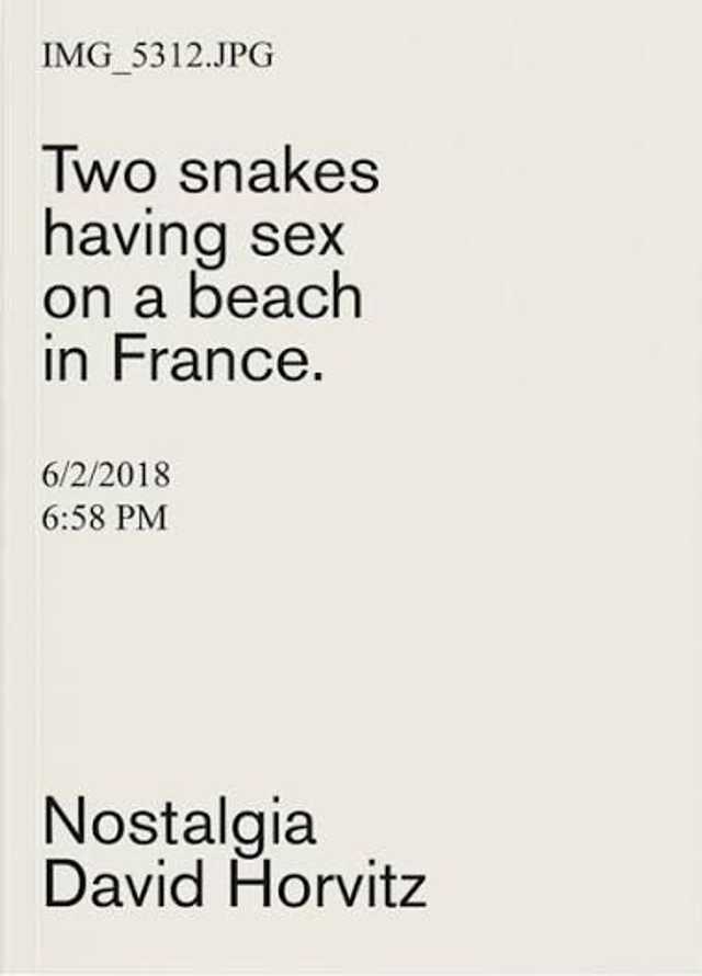 David Horvitz, Nostalgia, 2021