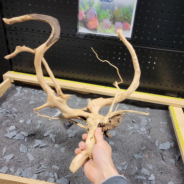 Sf spiderwood L 8715897259968