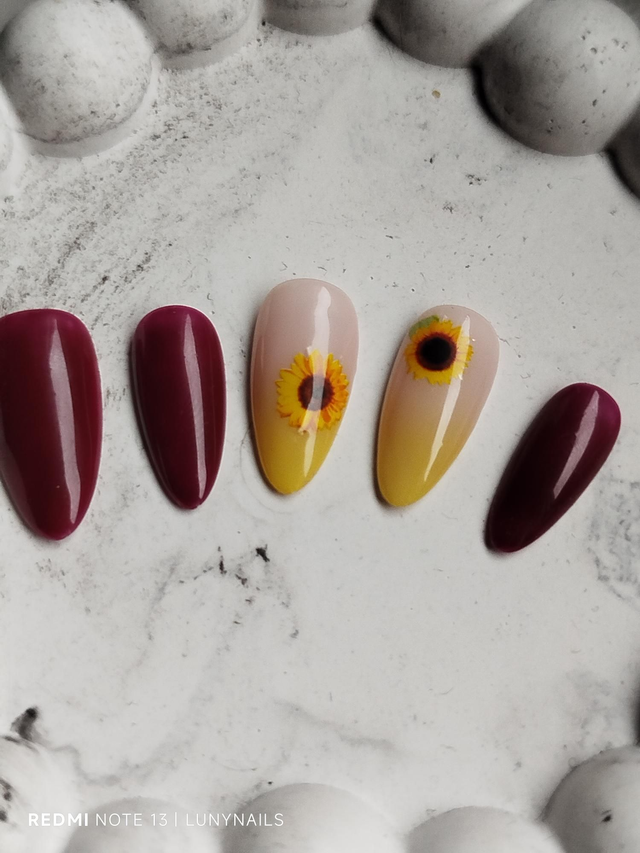Tournesols 