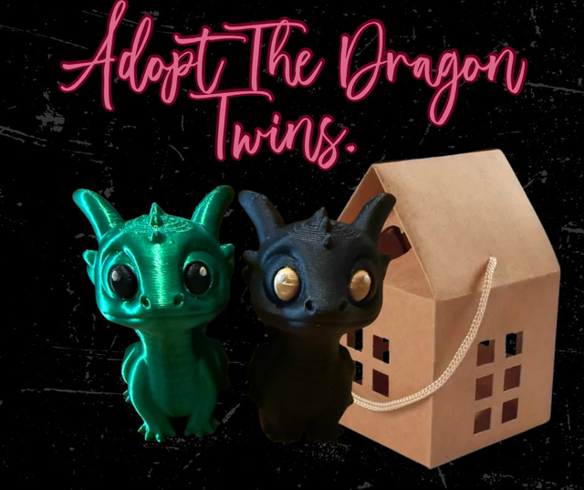Adopt The Dragon Twins 