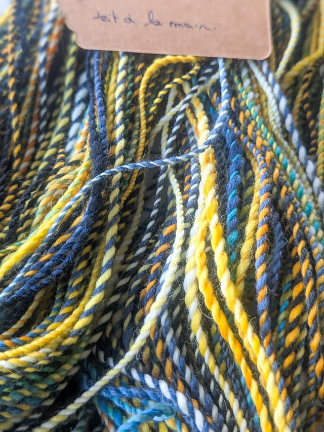 Mérinos d'Arles / planète terre