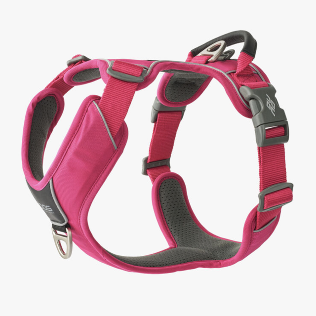 V3 Comfort Walk Pro 'Wild Rose' Geschirr von Dog Copenhagen