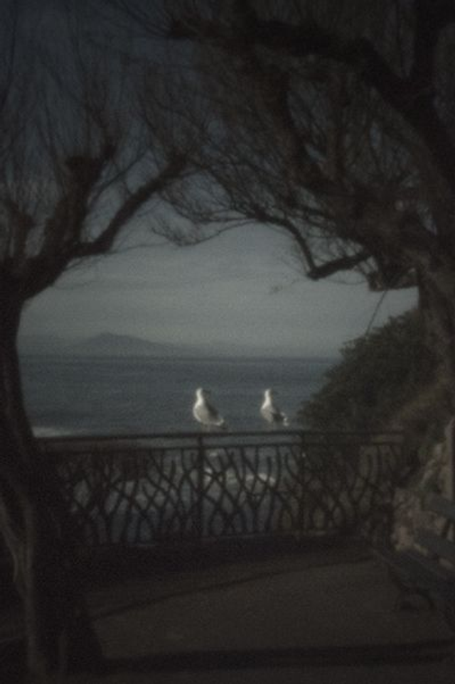 28# . La petite alcôve 