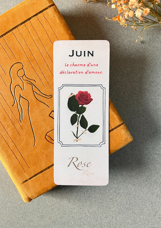Marque-pages 06. Juin, La Rose