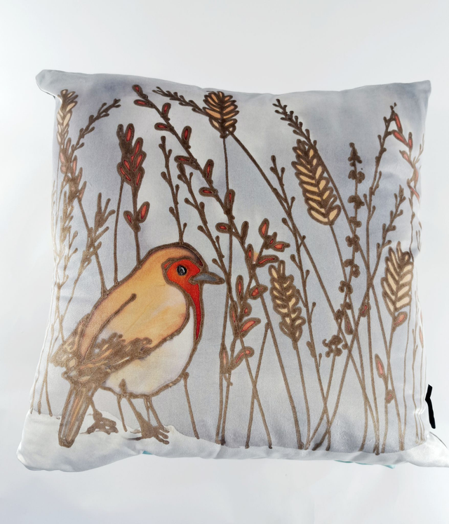 Robin velvet cushion    