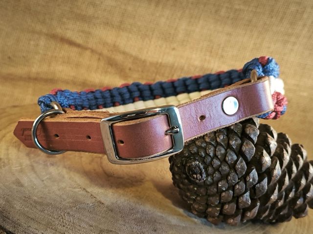 🇫🇷 Collier & laisse "Esprit Français"