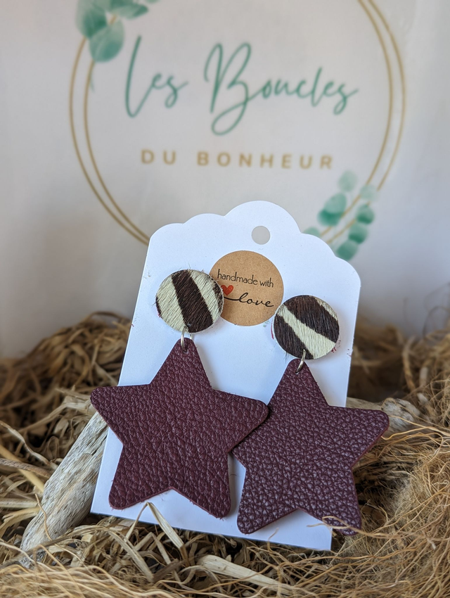 Boucles d&#039;oreilles Star s014 