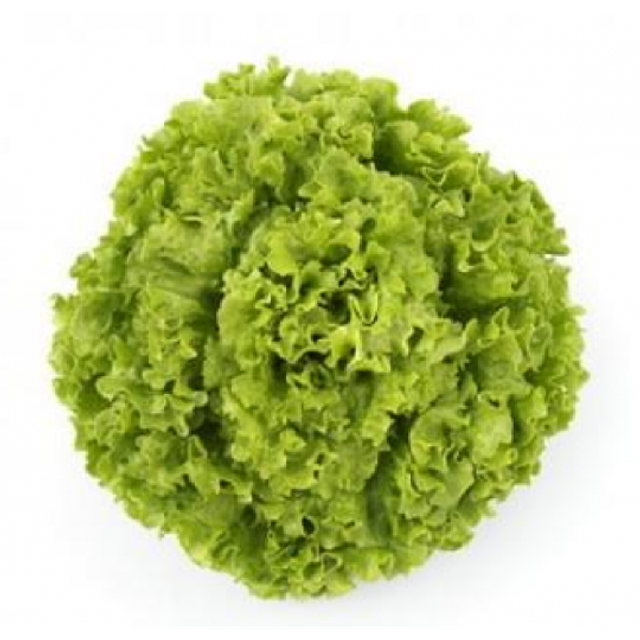 Salade Laitue Feuilles de Chêne Blonde (la pièce)