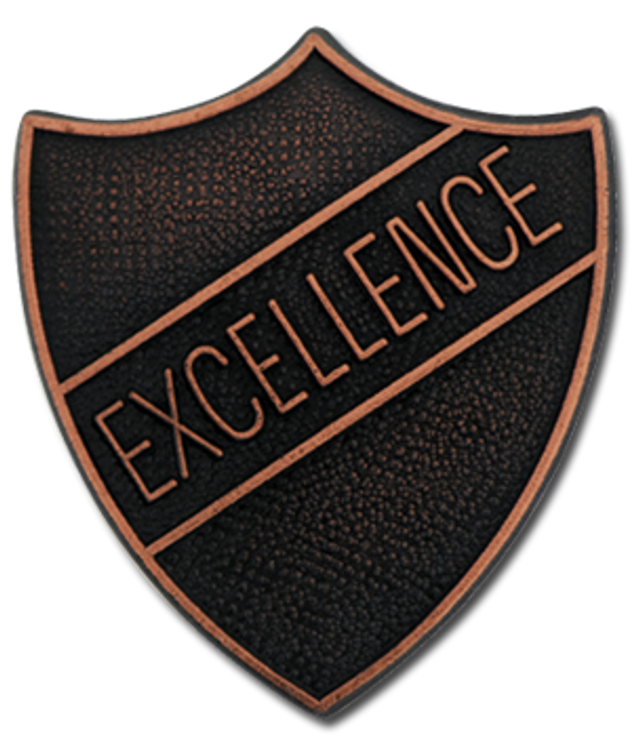 (3) Excellence Badge - Bronze