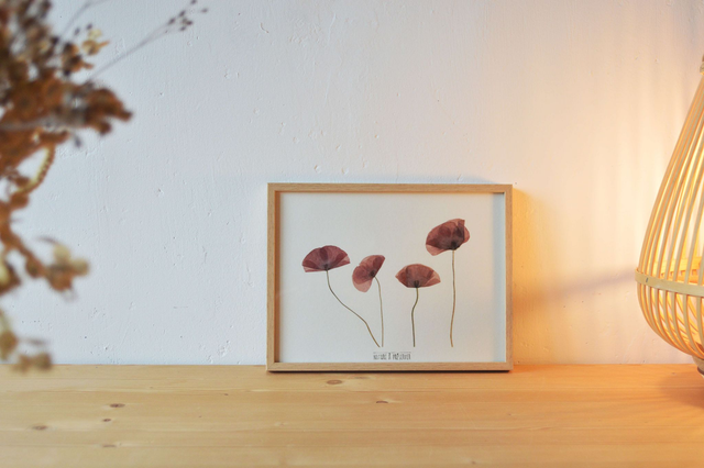 Tableau 18*24 cm - Coquelicots