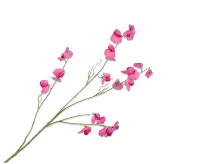 Silk-Ka Lathyrus tak 117cm lavendel/roze