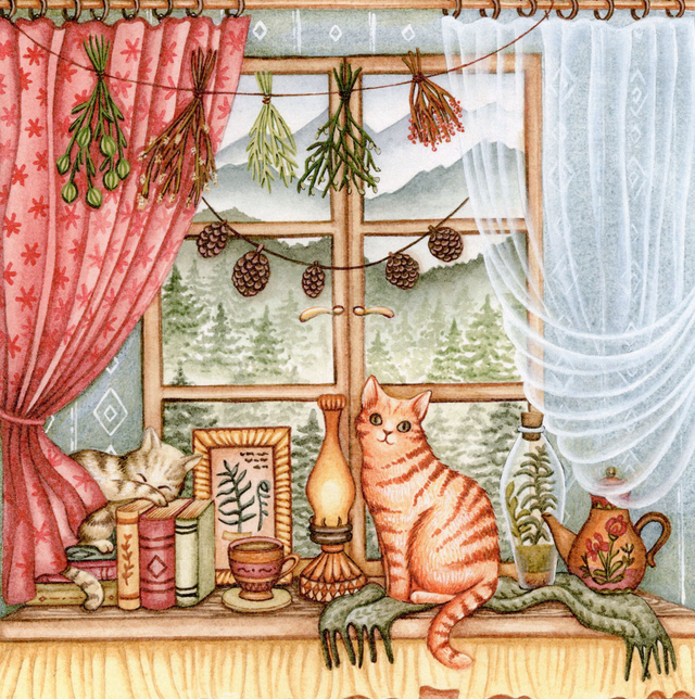 Window View