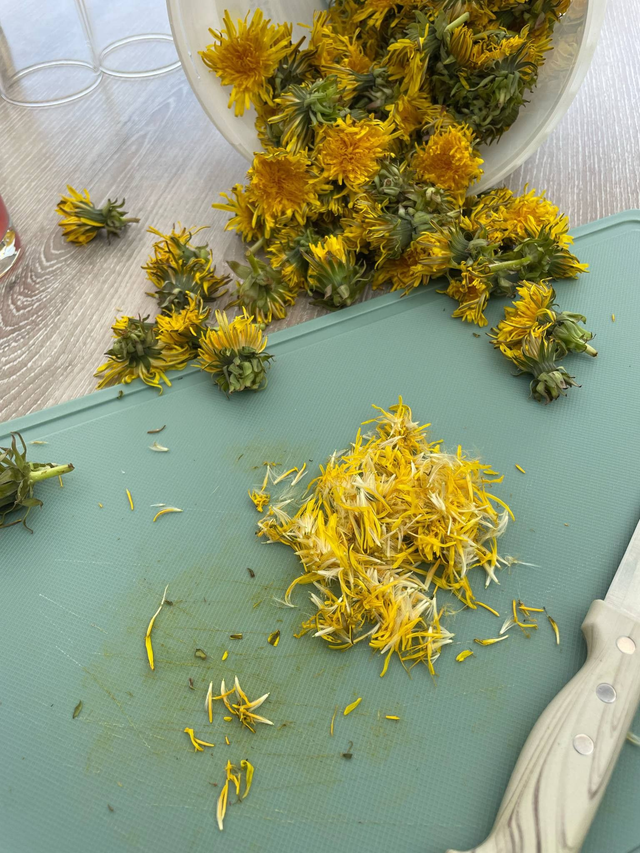 Miel de pissenlit - la Cramaillotte