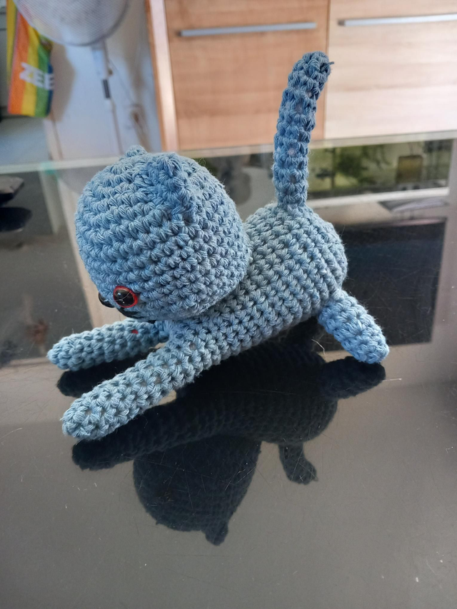 Jolie petit chat joueur 