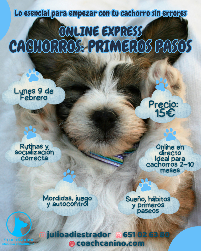 ONLINE: CACHORROS: PRIMEROS PASOS