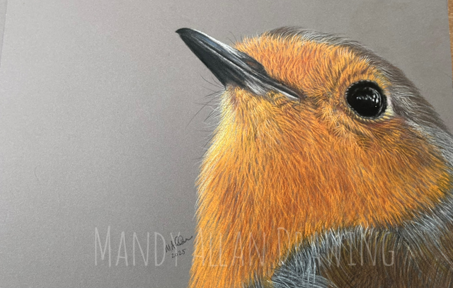 "A Friendly Face" Limited Edition Art Print