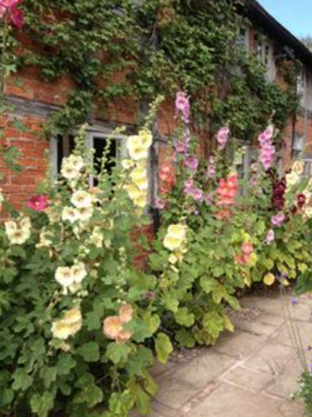 Garden Consultation (Contact to book)