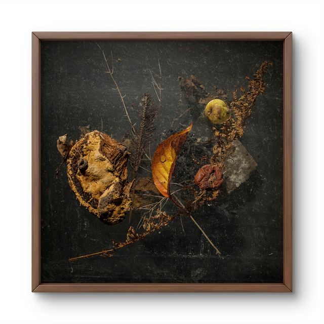 THE-TRANSITORY-SHIELD  FINE ART PRINT 20X20CM 