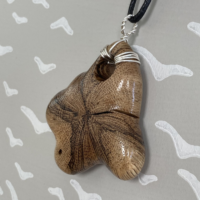 Honeysuckle - Unusual honeysuckle pendant with a twisted silver bail and 18" (46cm) waxed cotton necklace - I was found on a walk [047-0112]