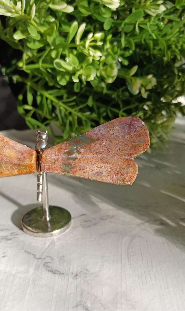 Ocean Jasper Dragonfly