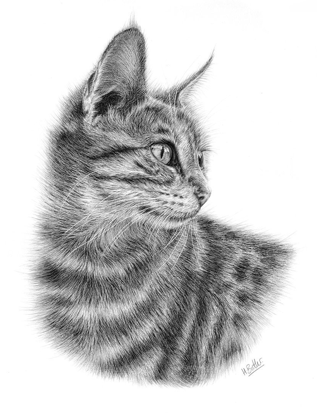 'Languid.'  Original framed graphite pencil drawing.