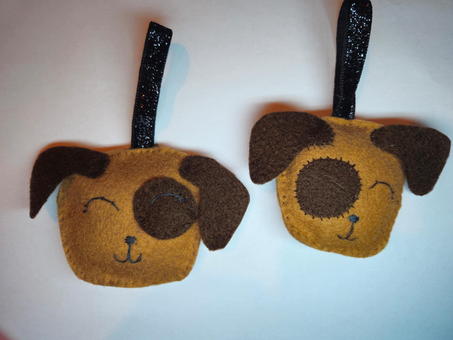 Brown dog with a patched eye