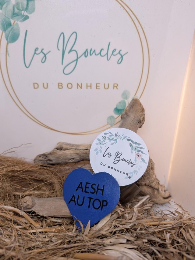 Broche personnalisée AESH au top (bleu roi) br036