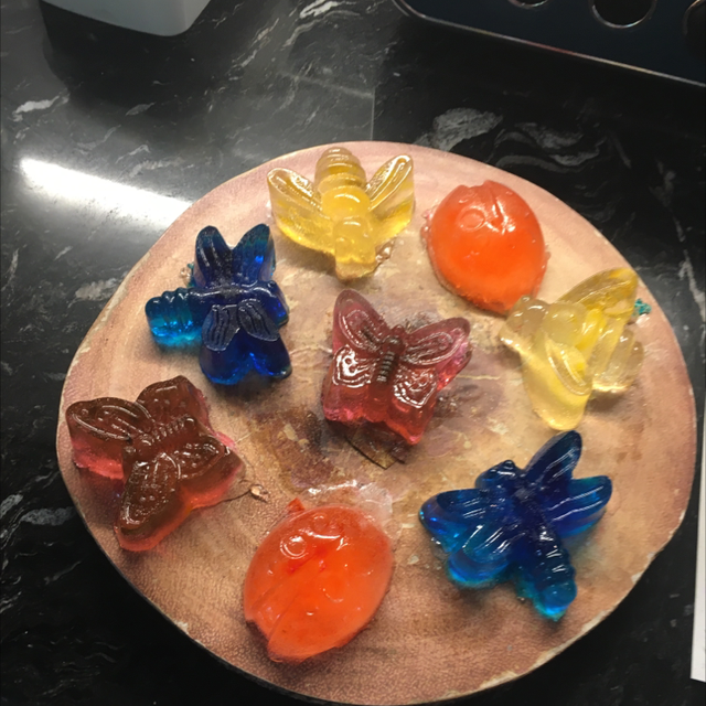 Insect jelly soap