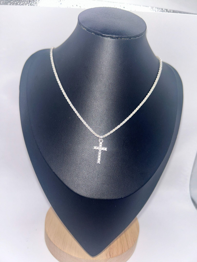 Stainless Steel Necklace (SSN83J)