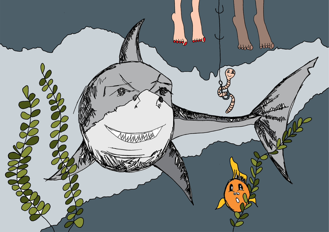 Great White Shark A3