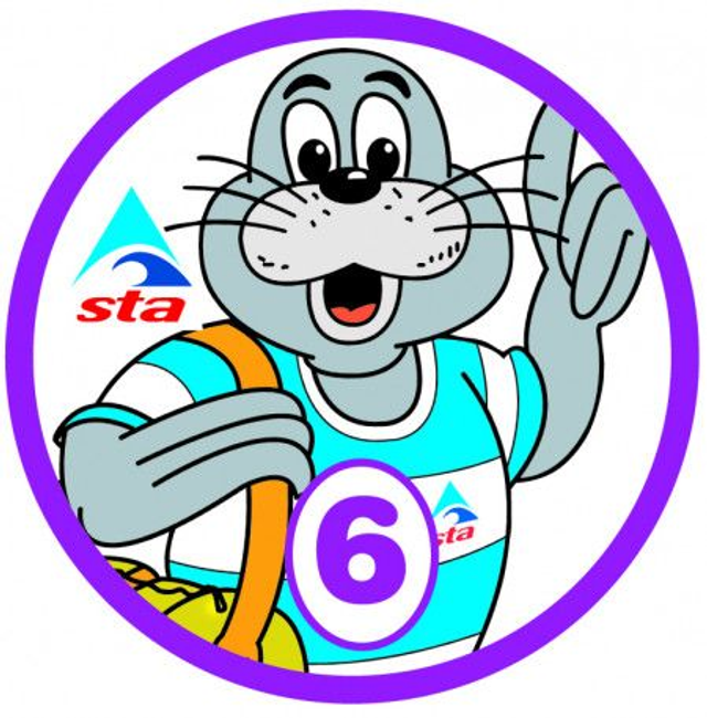 STAnley 6 - Certificate with Badge