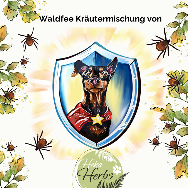 Waldfee Kräutermischung