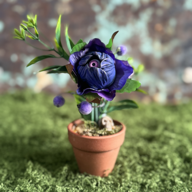 31.🪻 Specimen: The Violet Sentinel