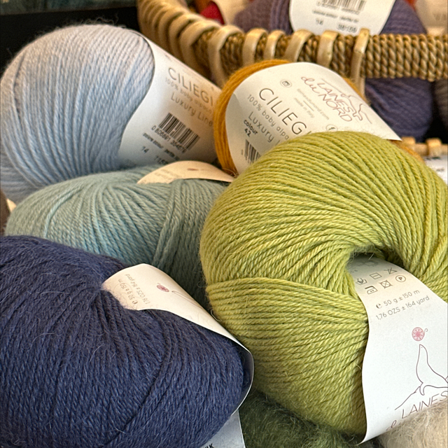 Laines du Nord - Ciliegia