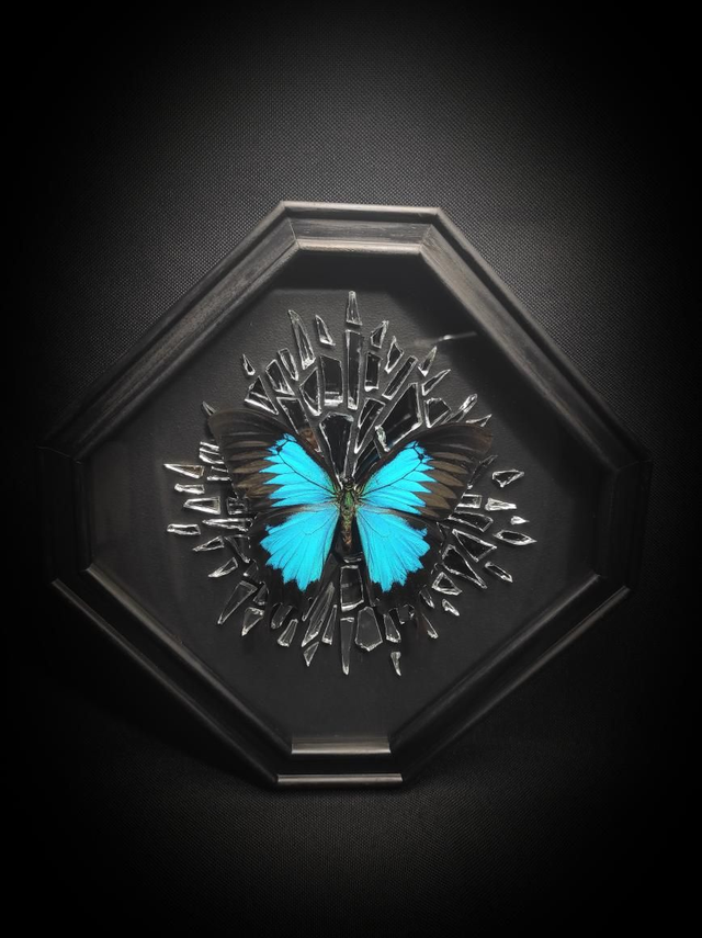 Cadre Miroir brisé "Papilio Ulysses" 