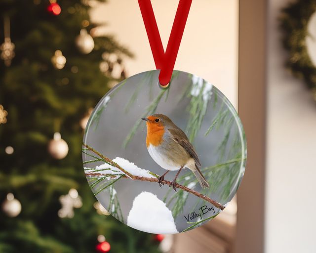 "Christmas Robin" Ceramic Christmas Decoration   