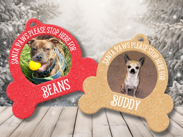 Pet Tree Ornaments