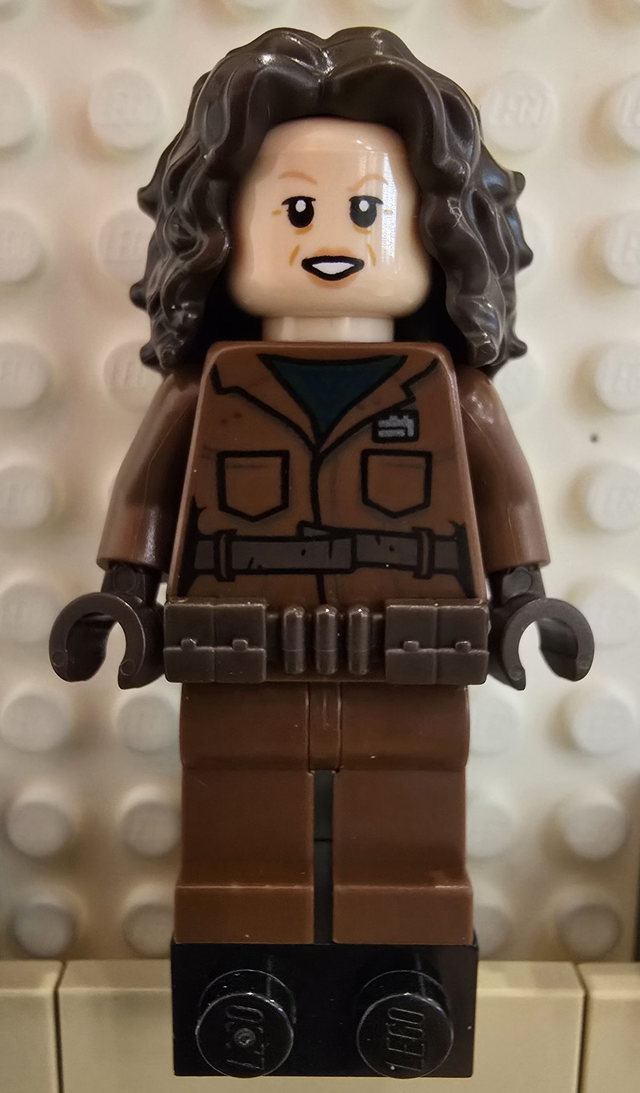 LEGO sw1210 Peli Motto Minifigur