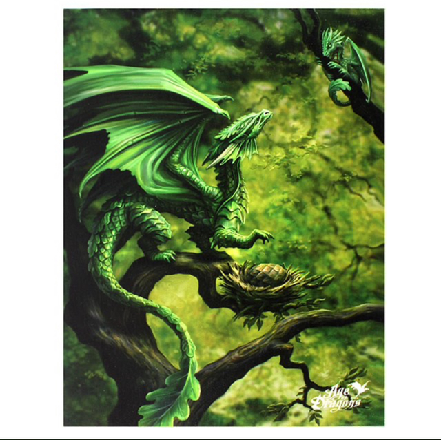 FOREST DRAGON CANVAS PLAQUE BY ANNE STOKES