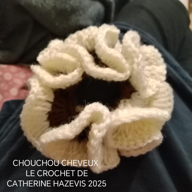 2025 CHOUCHOU CHEVEUX 