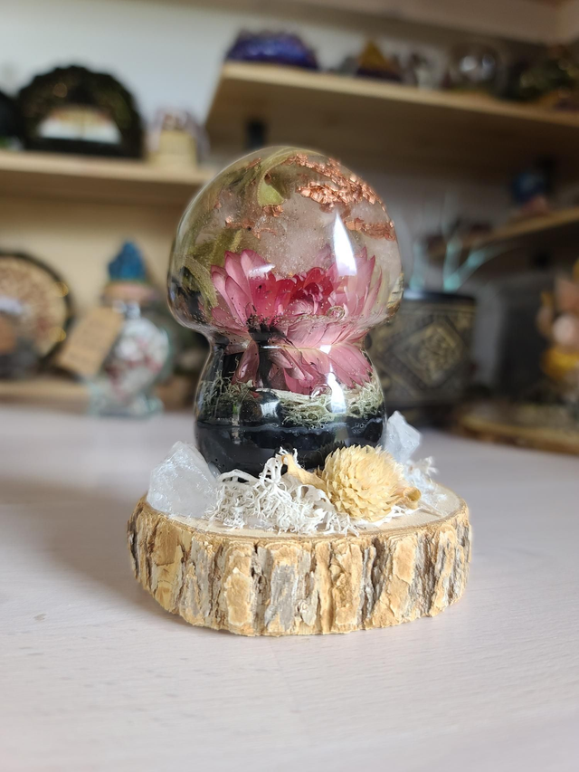 Champignon 🍄 "Harmonie naturelle"