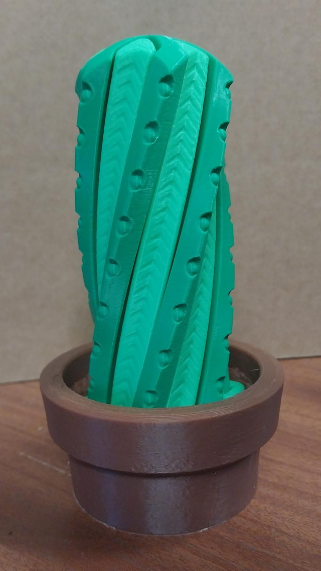 Cactus Helix Fidget